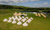Cotton canvas glamping bell tent
